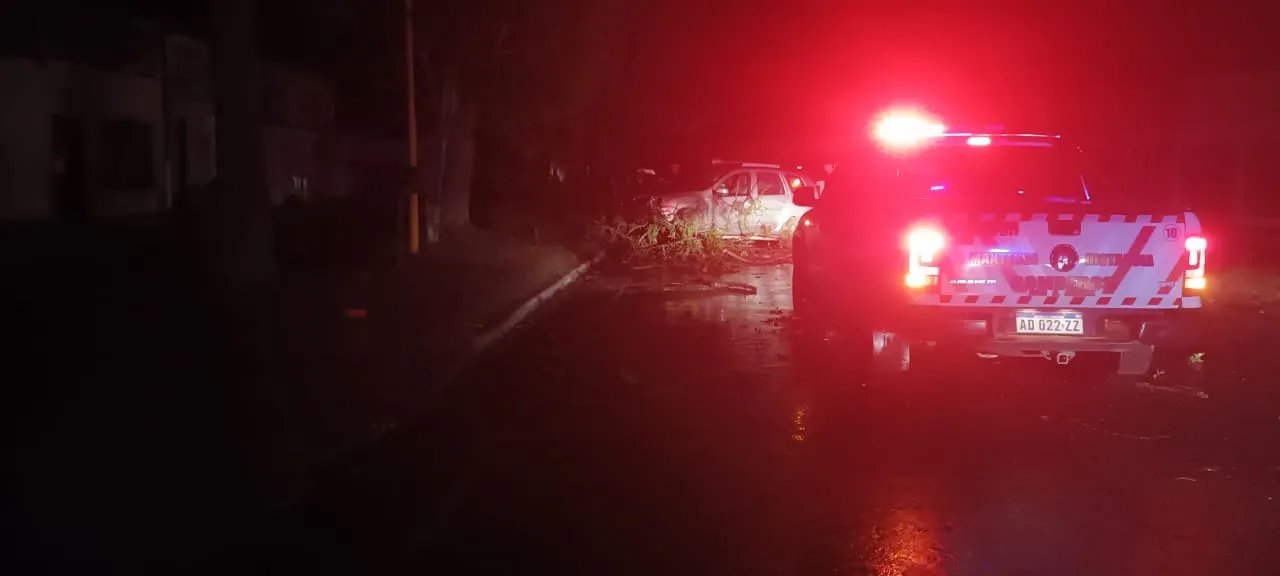 a14803f1-4397-464a-a53e-f08f84cb88bc