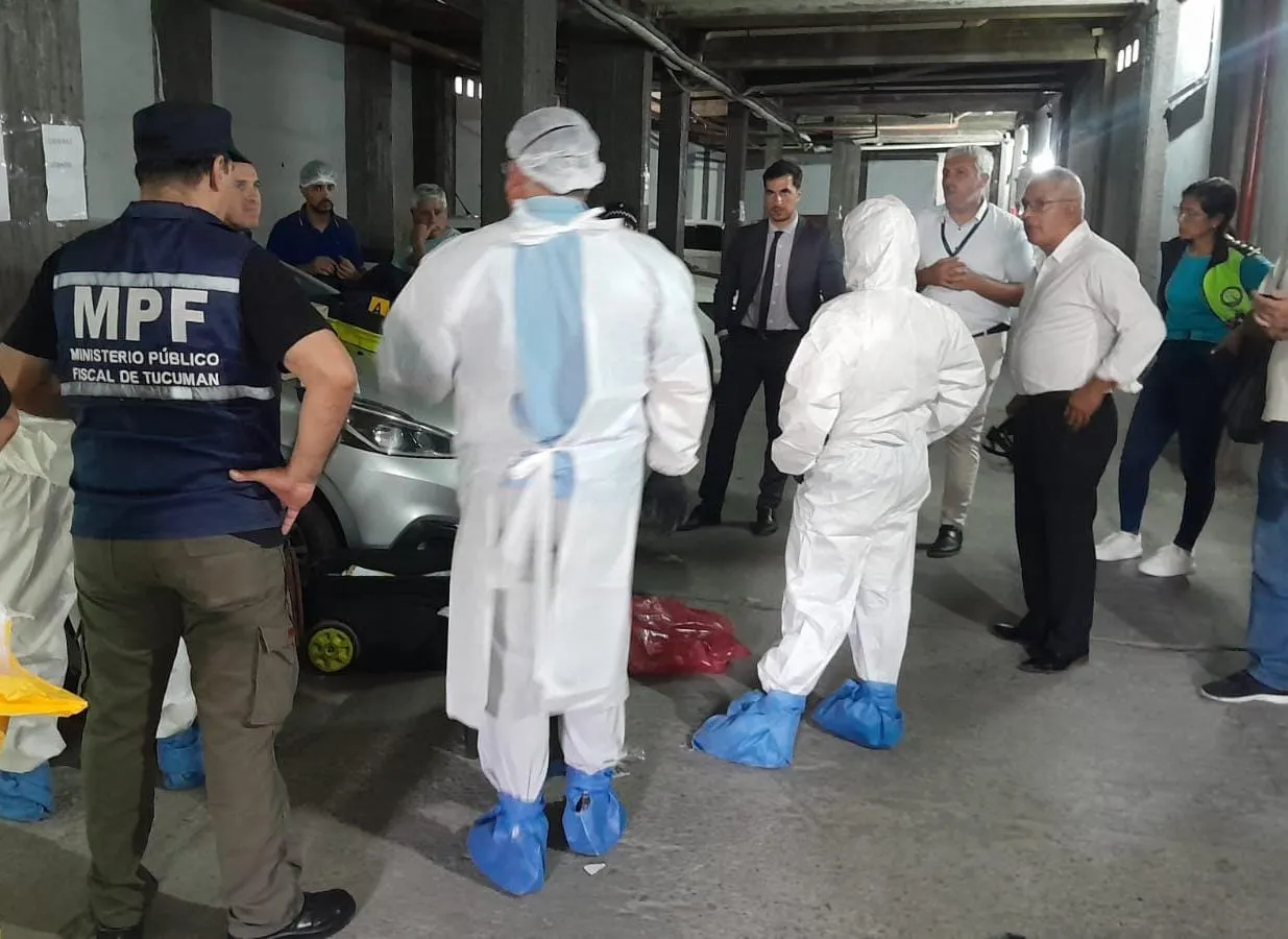 WhatsApp Image 2025-01-29 at 12.28.35