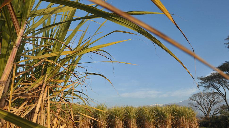 553416_20130722234111