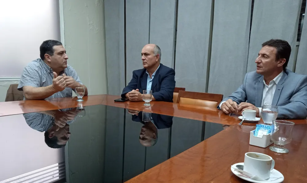 WhatsApp Image 2025-03-31 at 11.31.35