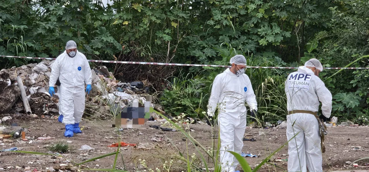 WhatsApp Image 2026-01-16 at 23.26.37