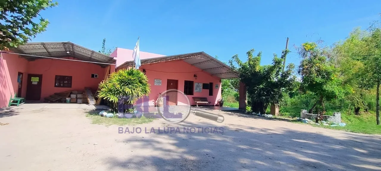 WhatsApp Image 2025-02-15 at 11.56.44