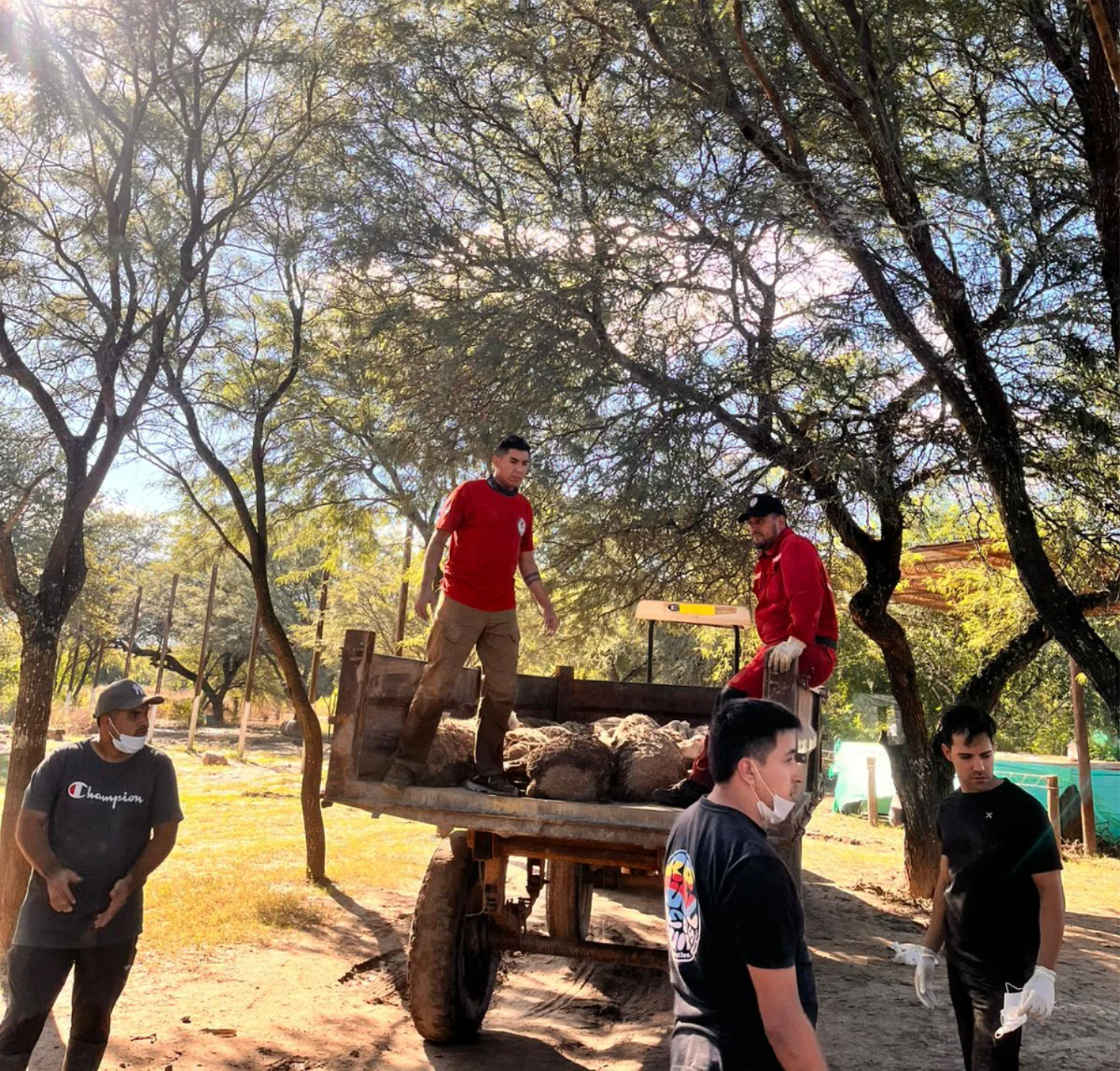 WhatsApp Image 2026-03-24 at 19.47.08