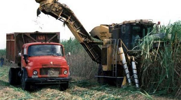 37721_zafra_tucuman1-e1463673871163