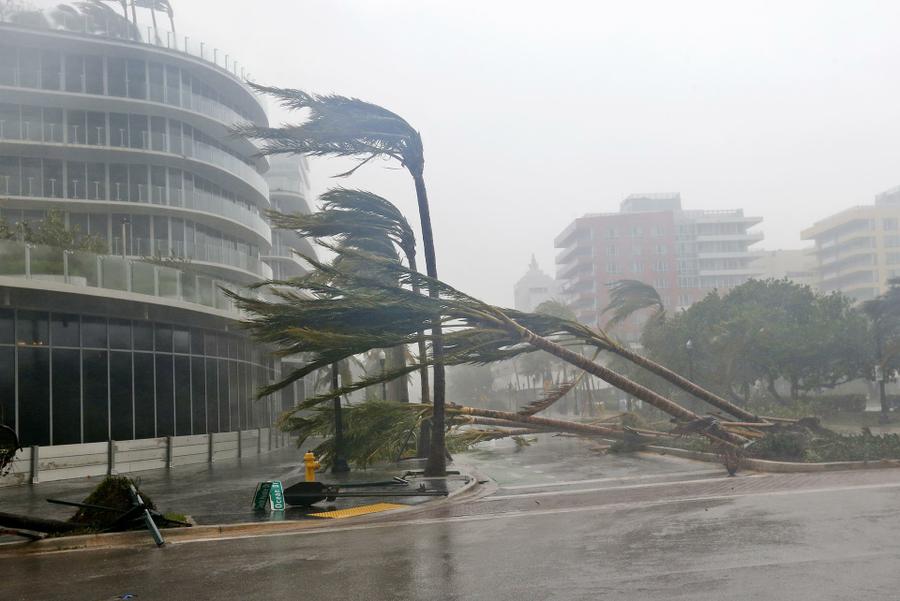 Galeria-Huracan-Irma-Miami-11