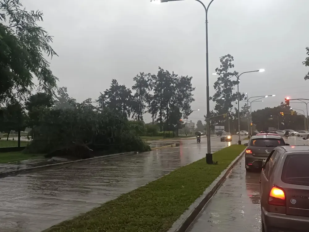 08d666d0-ba8e-4acc-b76b-02f7062613f7