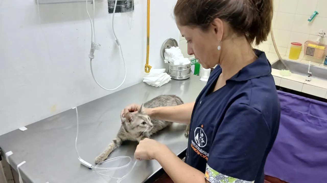 WhatsApp Image 2025-12-31 at 11.20.24