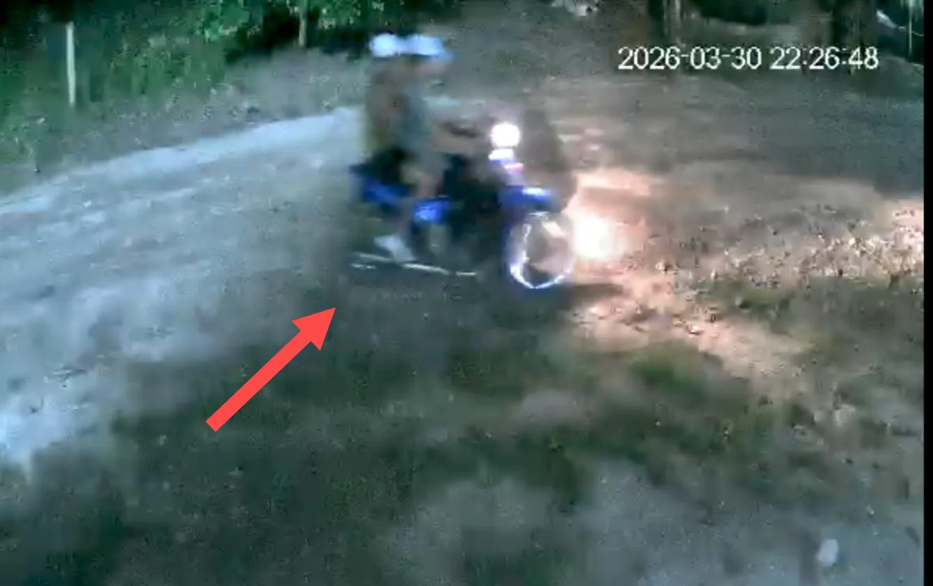 2f495c2c-ed82-4da7-9466-7aa49011aa5e