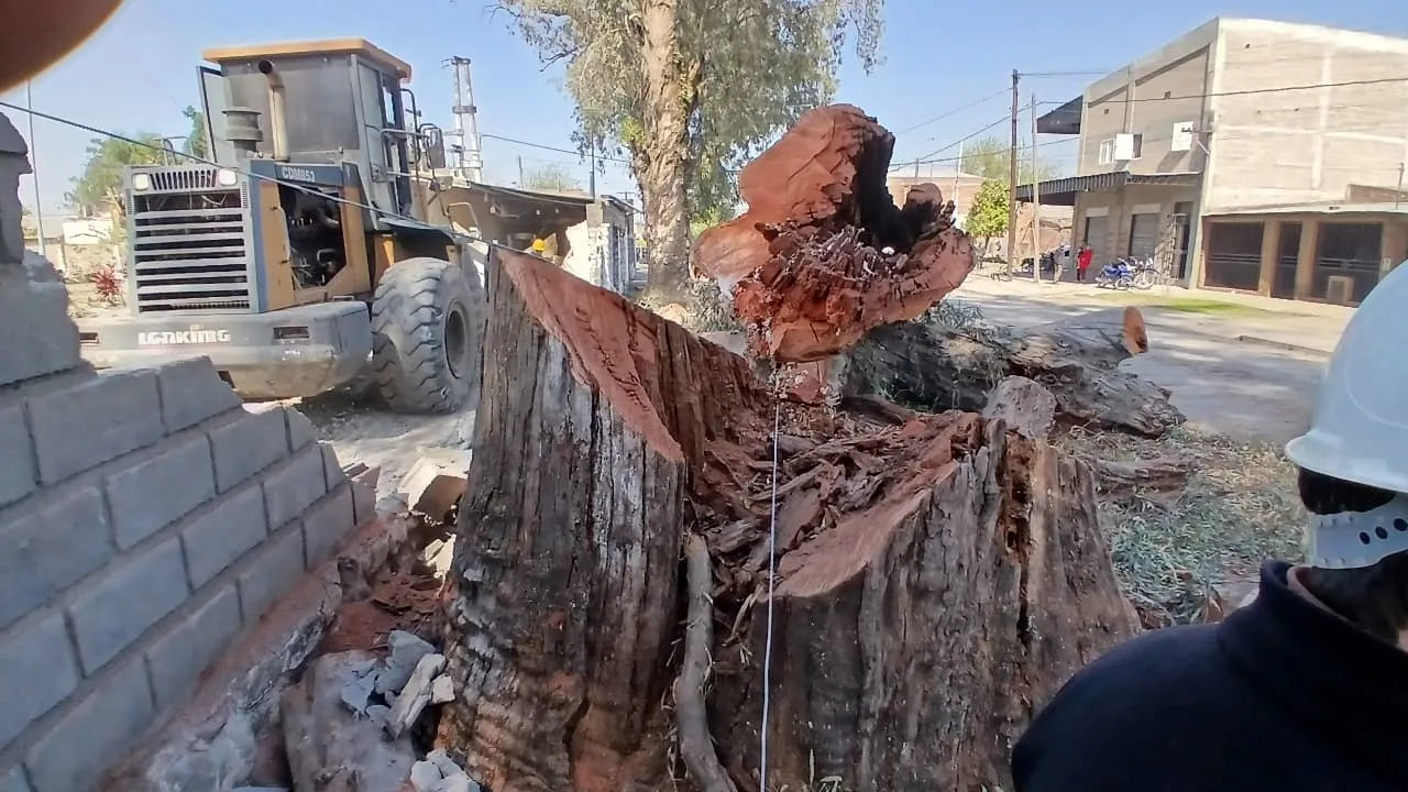 WhatsApp Image 2025-08-29 at 12.04.52 (1)