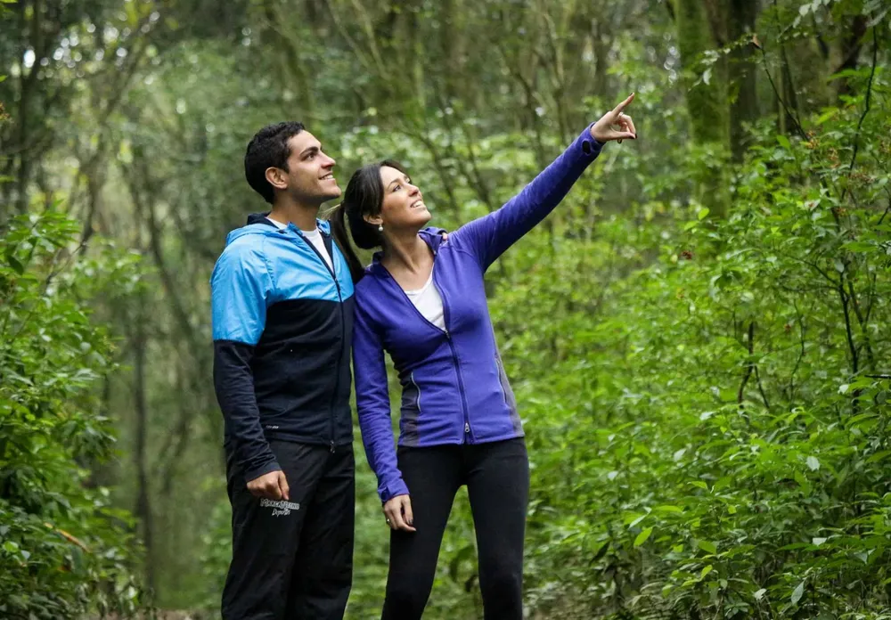 041da852-417f-4b39-810b-5d7477bdf56b