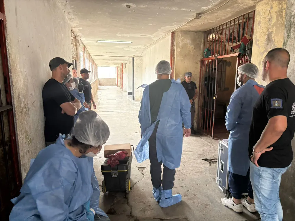 WhatsApp Image 2026-02-01 at 01.17.02