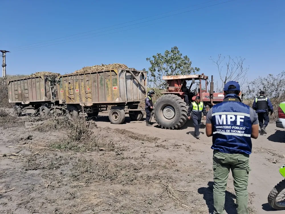 0f4e1f54-aafe-4daa-94e7-cc6920c660ca