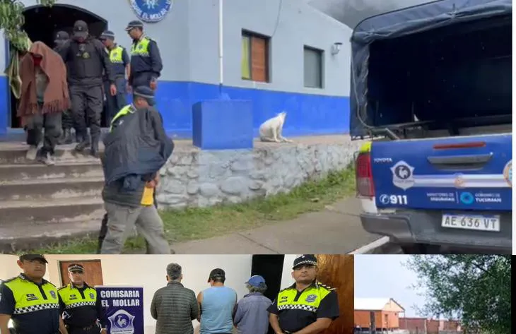 730x473_250103205400_89700