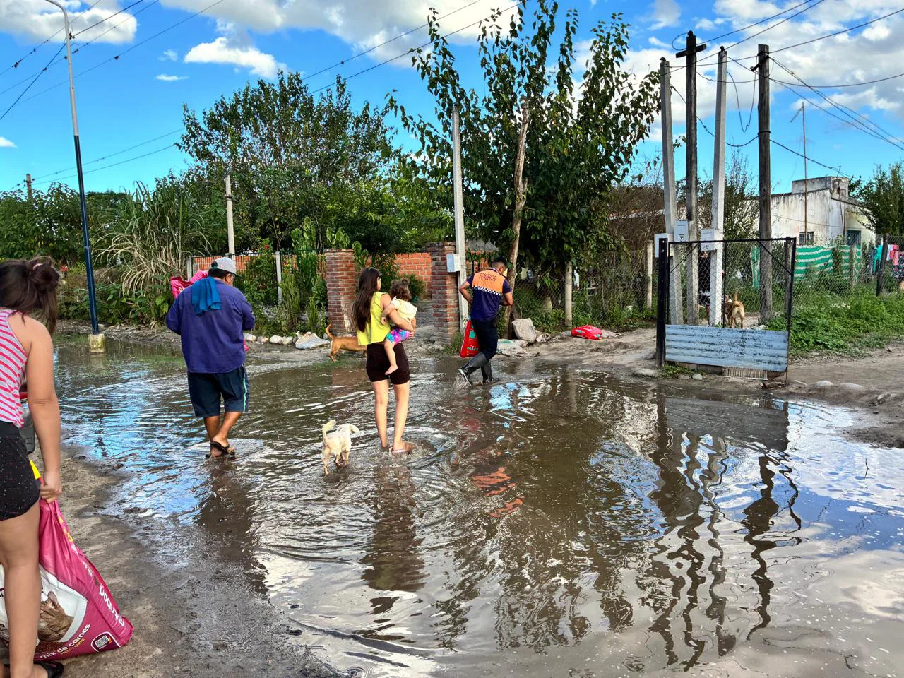 WhatsApp Image 2026-03-31 at 10.56.22 (1)