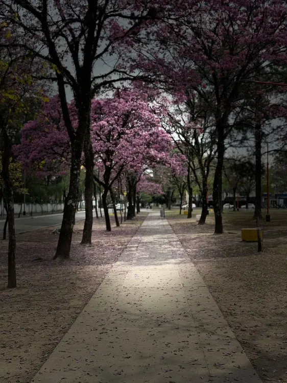 WhatsApp Image 2025-09-17 at 22.40.40