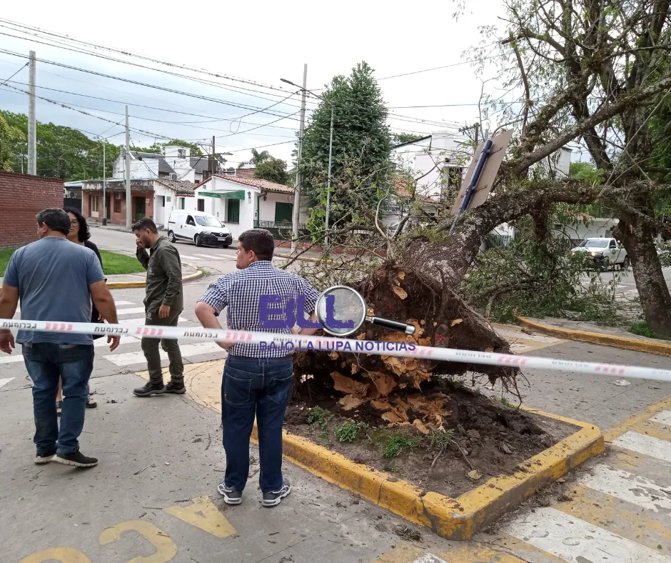 Diseño sin título (31)