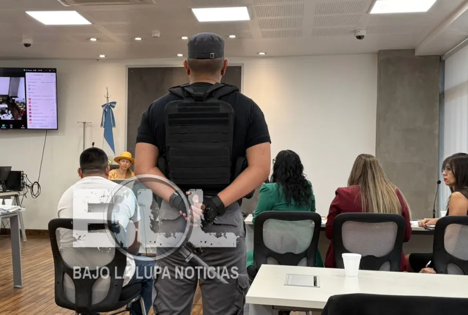 Diseño sin título - 2025-11-28T130606.273