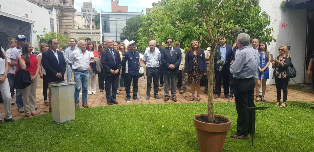 WhatsApp Image 2024-12-13 at 20.14.12