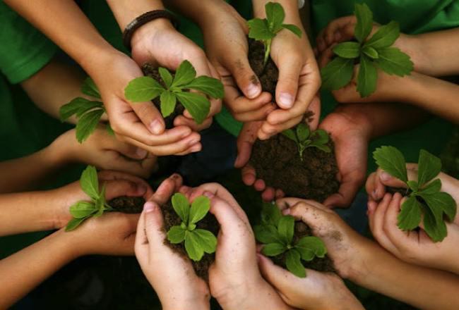 650x440_221123085738_63923