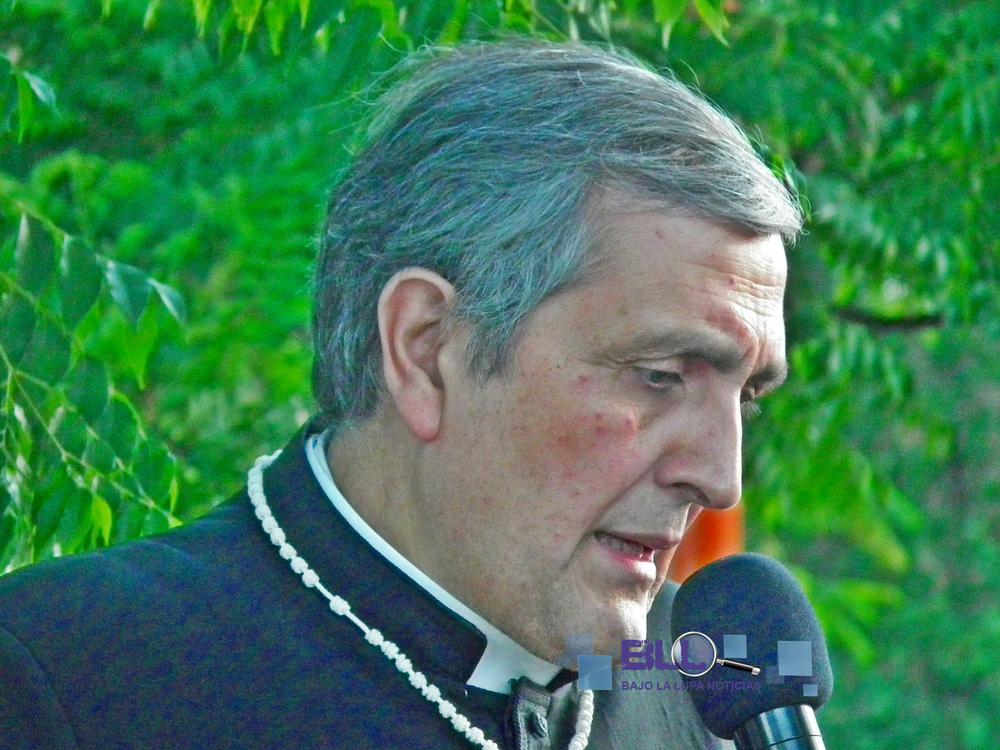 vida 1