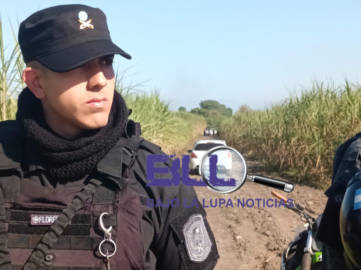 Diseño sin título (15)