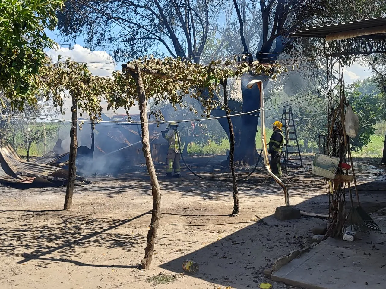 WhatsApp Image 2025-12-14 at 17.34.02