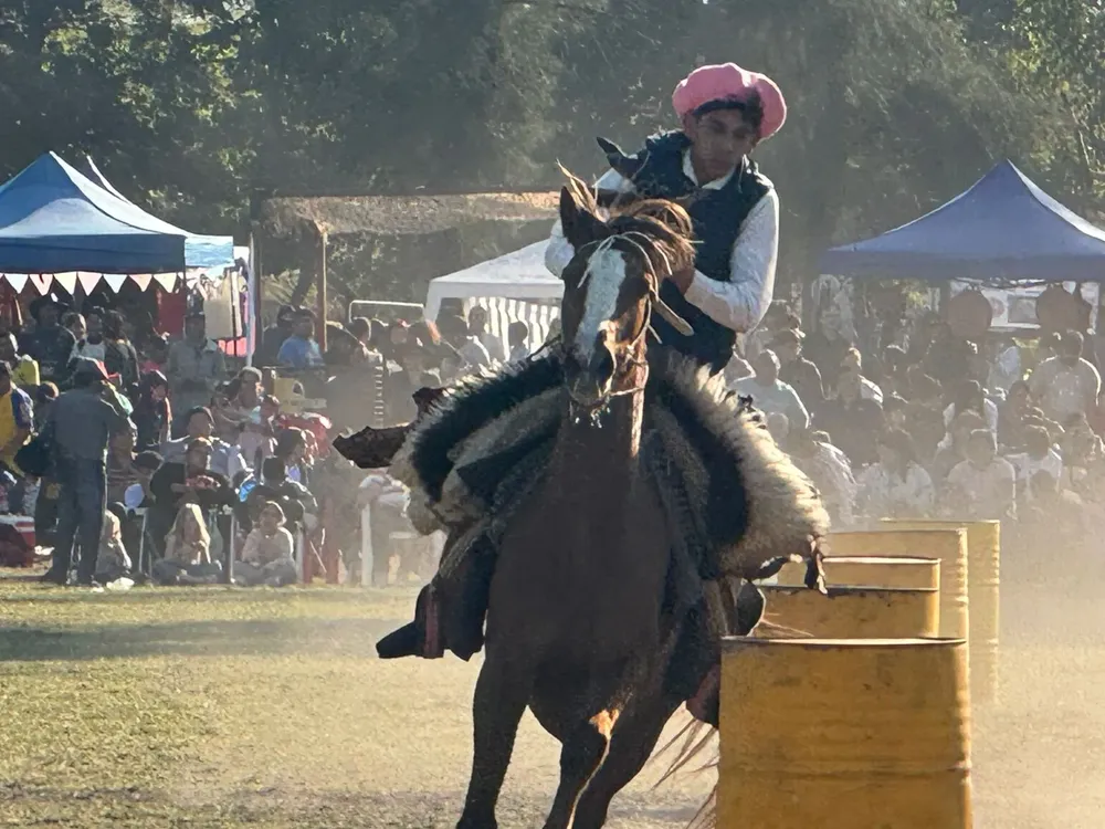 b6571a56-a04f-4b4c-a681-b5f0a1cf7dcb