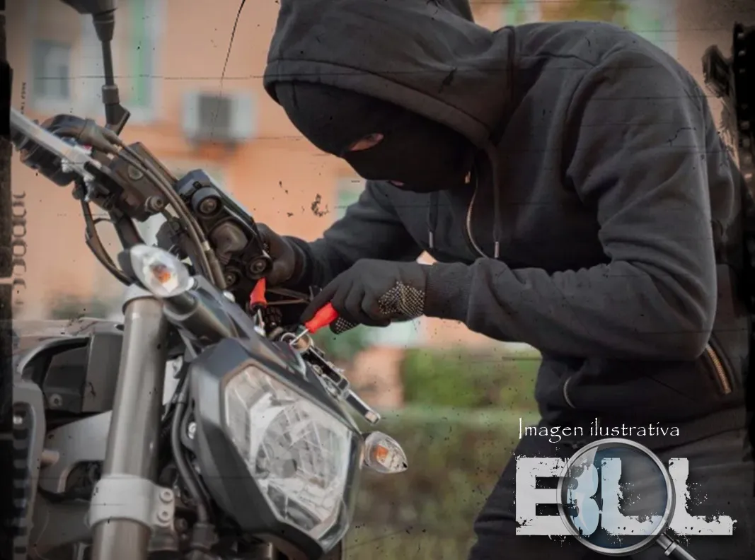 LADRON DE MOTOS