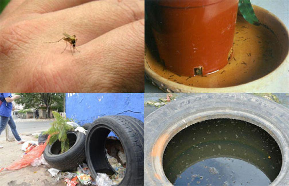 13397-medidas-de-prevencion-del-dengue-fiebre-chikungunya-y-fiebre-zika