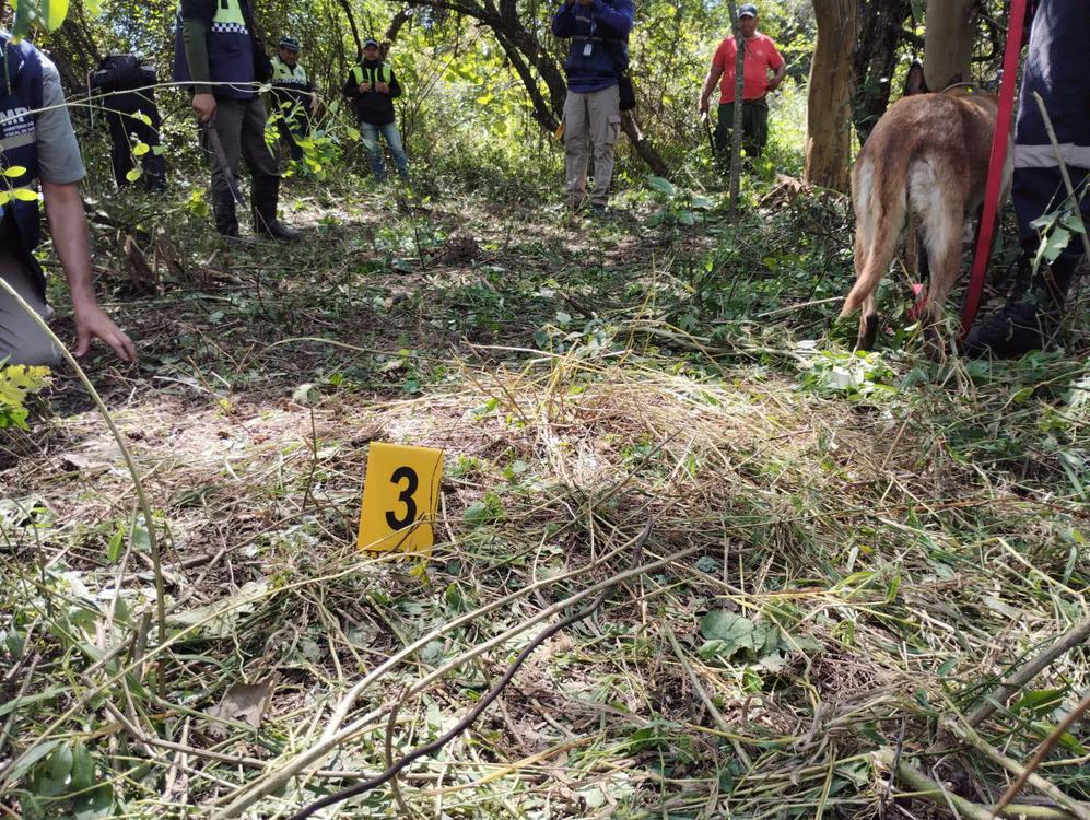 WhatsApp Image 2024-03-27 at 16.00.44