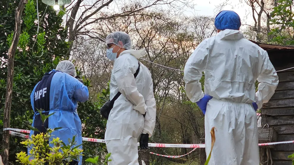 a31c01f4-cb4f-4321-ac35-b2f4523bba5e