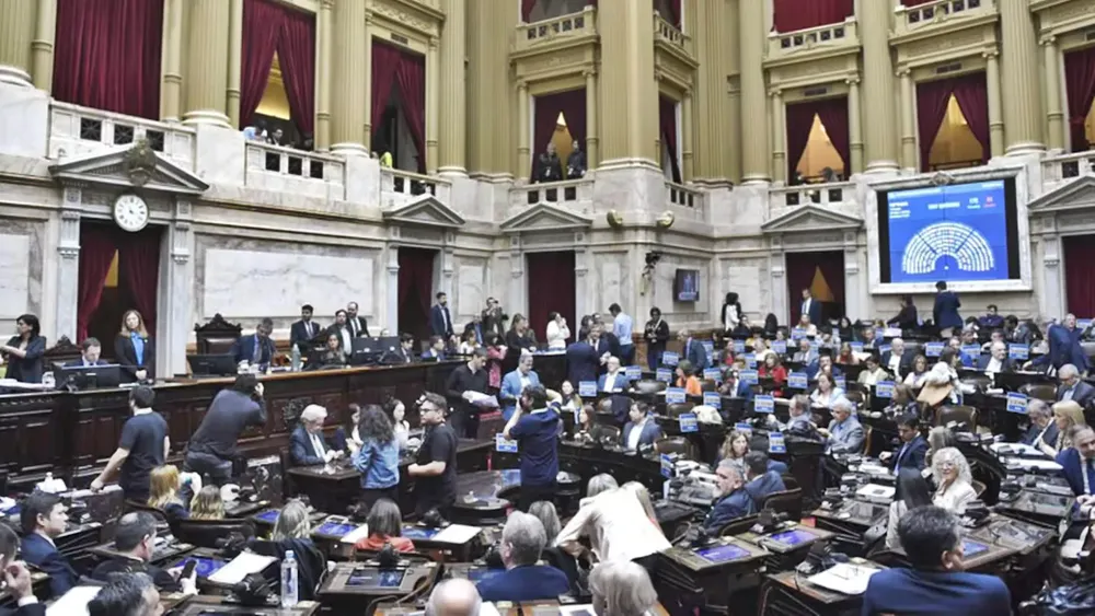 DIPUTADOS - UNIVERSIDAD