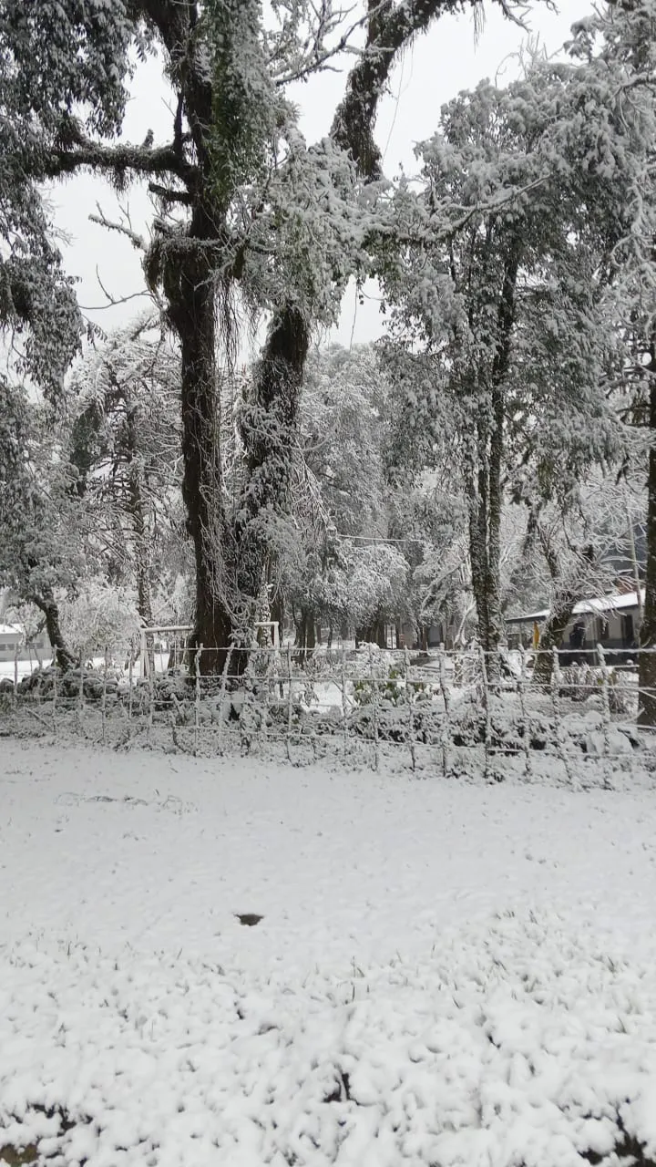 98e8ca8d-e090-4d02-8afd-25a465c55515