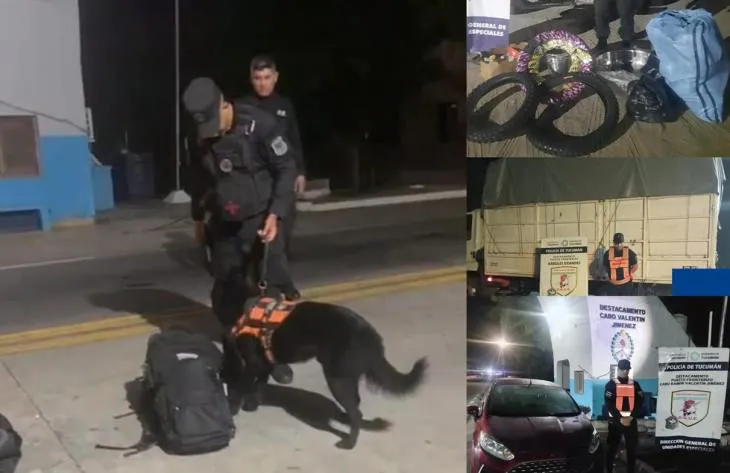 730x473_241110140902_23181