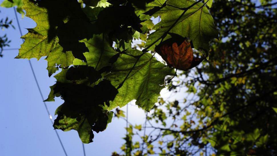 sol-pleno-temperatura-bien-primaveral-para-cerrar-mes-agosto-816424-084041