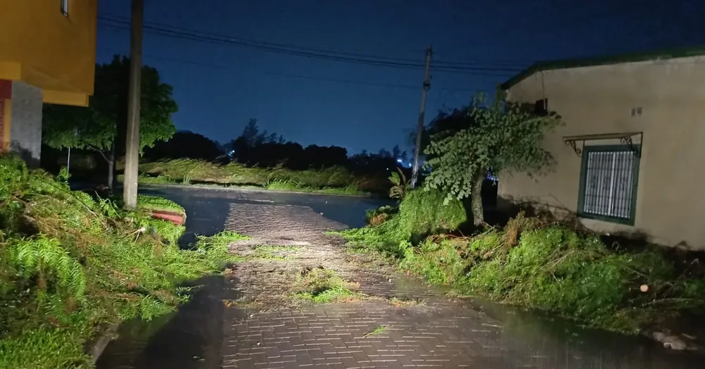 621738298_1304278471736348_5522667727945277415_n