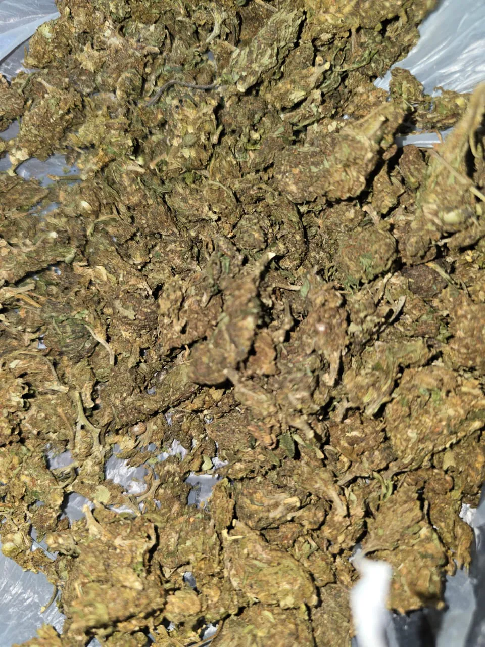 WhatsApp Image 2025-10-06 at 08.03.33 (3)