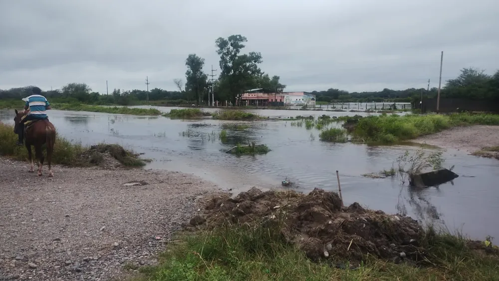 WhatsApp Image 2026-03-10 at 11.30.13