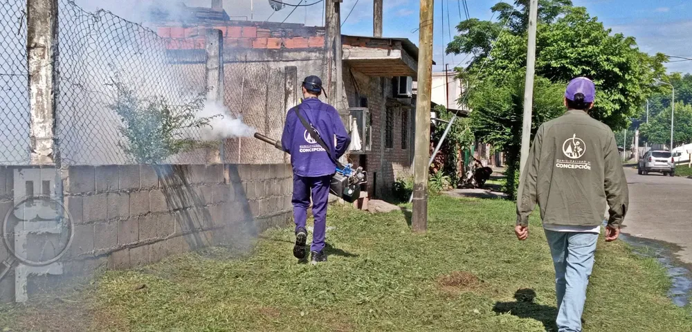 WhatsApp Image 2024-11-12 at 10.03.55