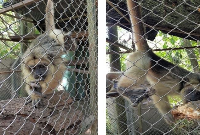 650x440_230417092441_95091