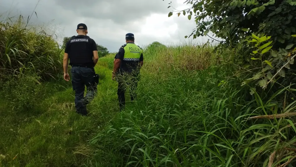 cf80425b-aaaf-4fcd-83db-a6cb4a5a2f18