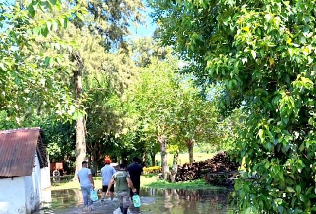 650x440_231226112552_79060