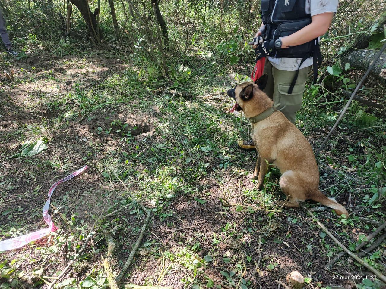 434089361_801362005349409_4265377982219949933_n