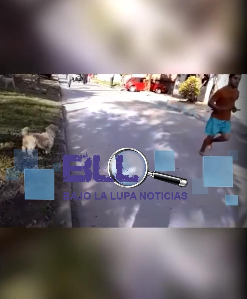yañez editado