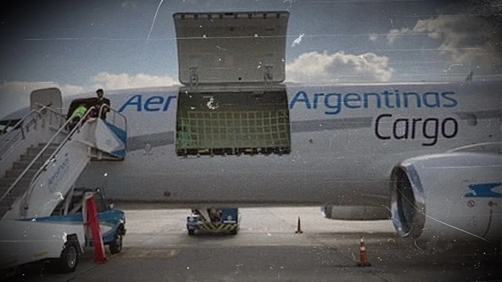 aerolineas - cargo