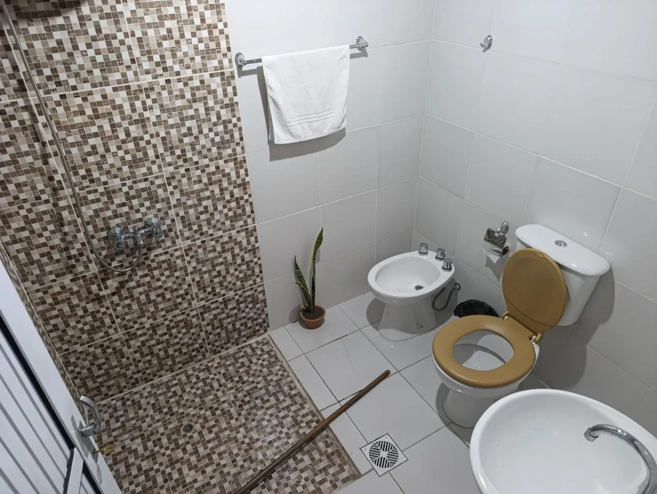 498714561_122234681852200550_7846242356860505089_n