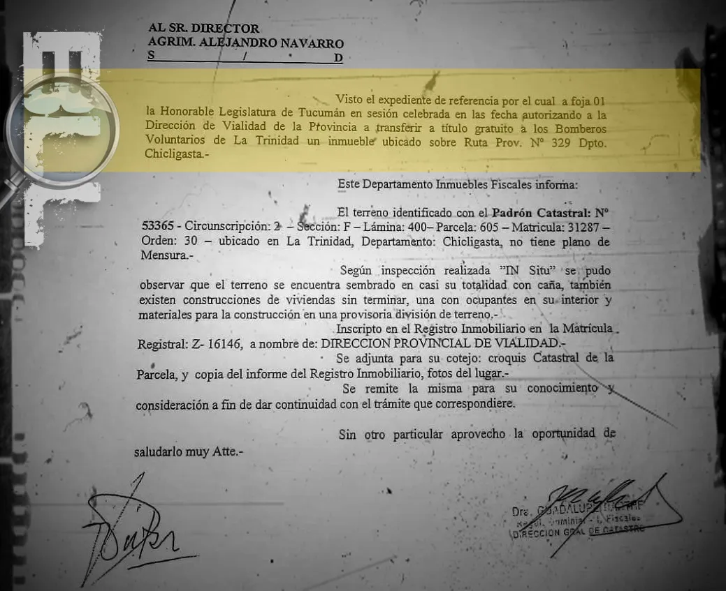 trinidad portada