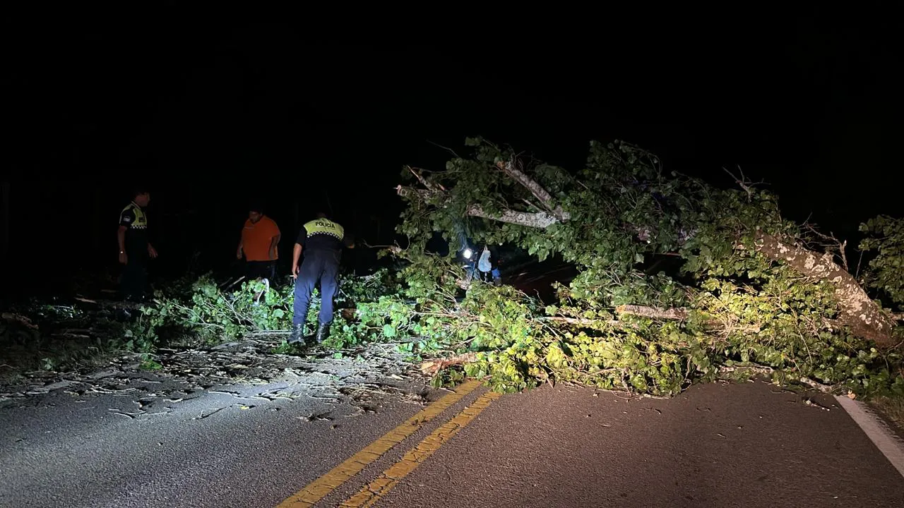 0c2fddd9-e3af-45b0-88dd-4ec131f7c27f