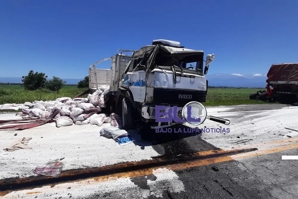 Diseño sin título (41)