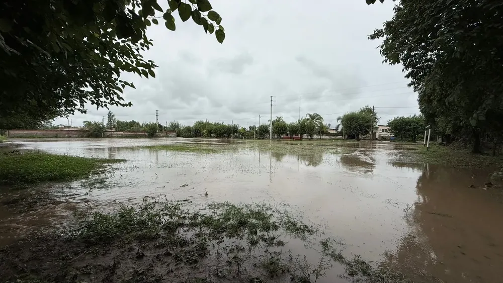 WhatsApp Image 2026-01-19 at 15.29.17 (4)